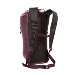 Blue Ice Dragonfly 18L 11 Blue Ice Dragonfly 18L -Peak Camping Dragonfly18 winetasting back web rsz 45891.1657834488