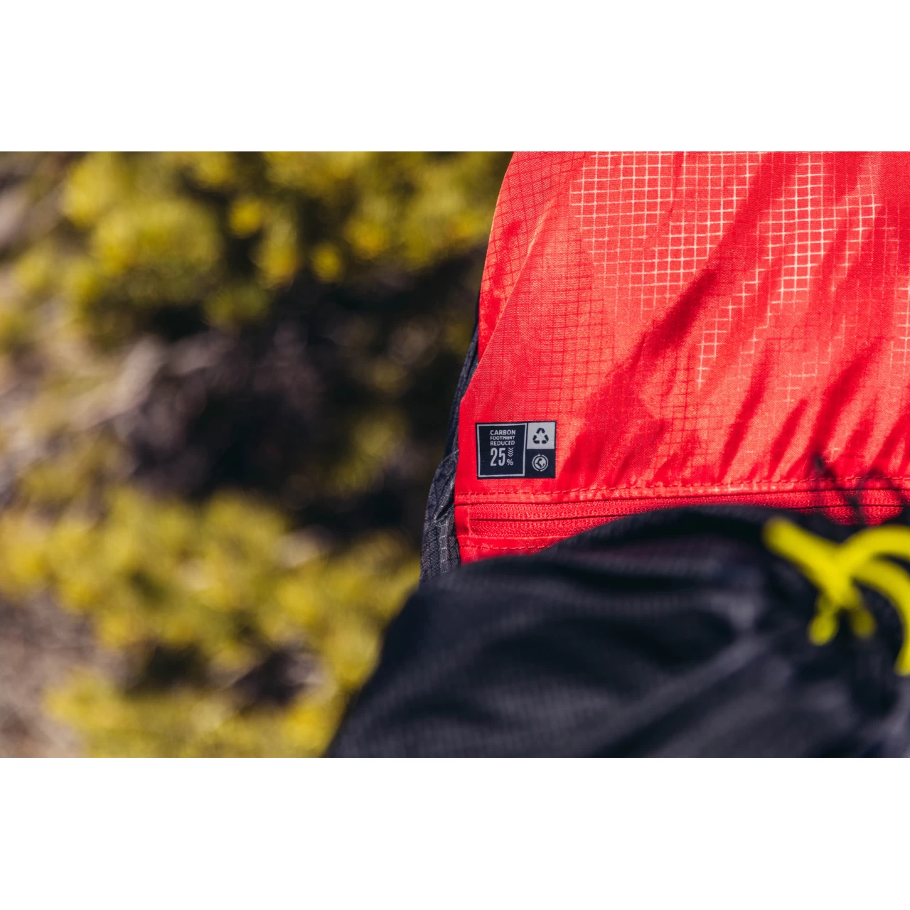 Gregory Baltoro 100 Pro - Men's 12 Gregory Baltoro 100 Pro - Men's - Image 10