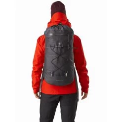 Arc'teryx Alpha FL 30 Backpack -Peak Camping alpha fl 30 backpack carbon copy back view rsz 15610.1651086862