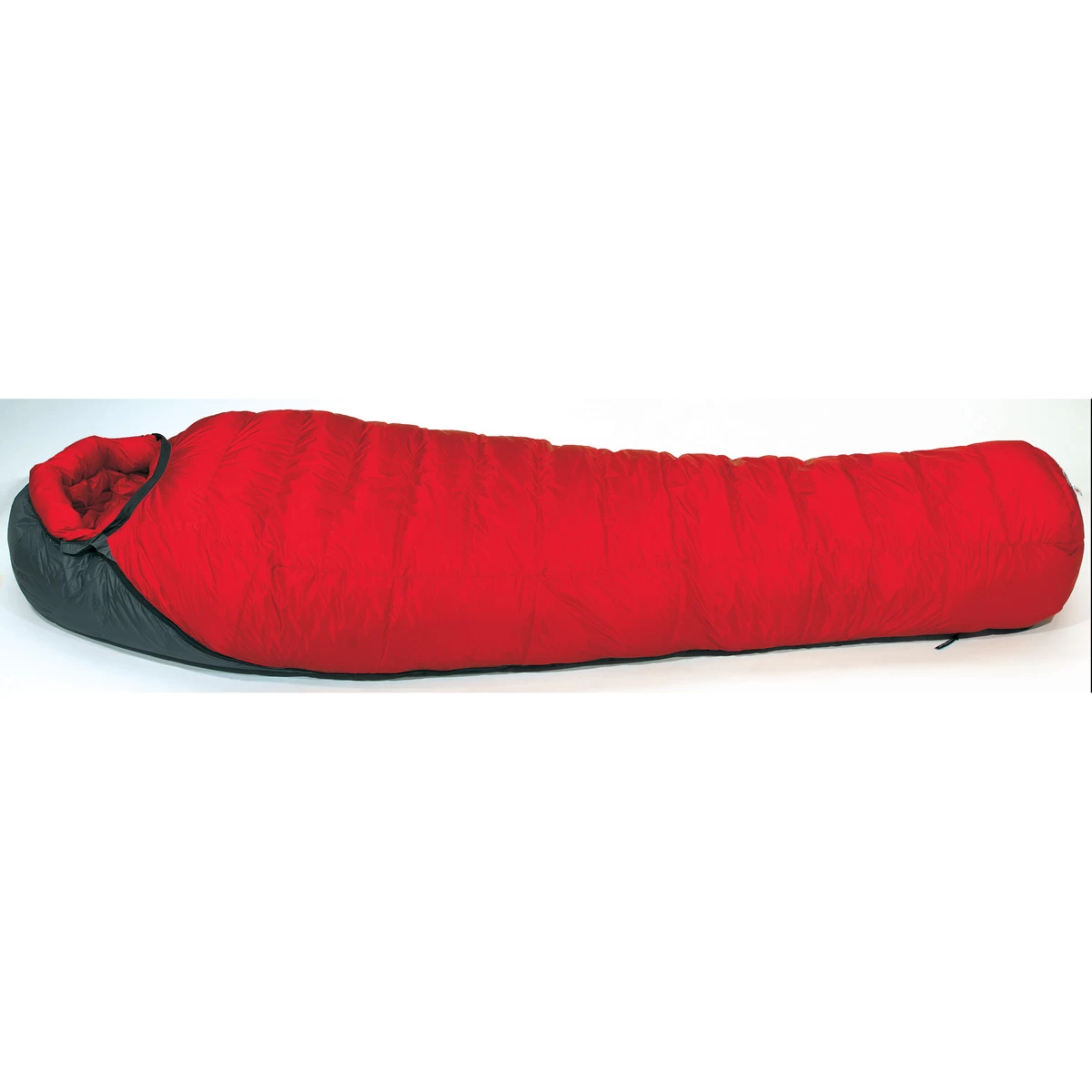 Bison GWS 5 Bison GWS - Image 3