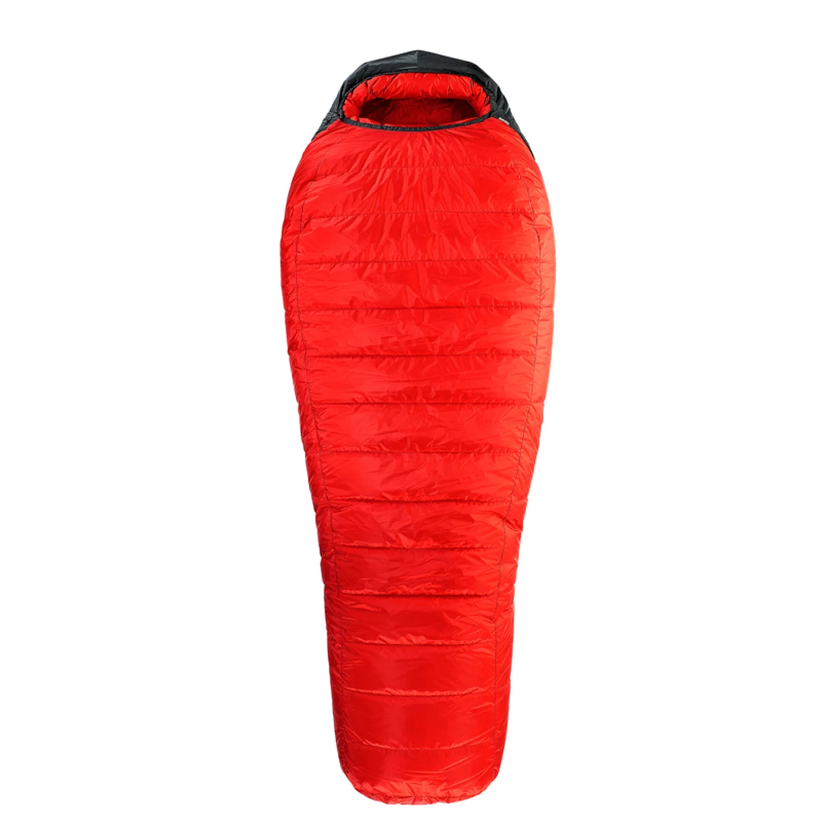 Bison GWS 3 Bison GWS