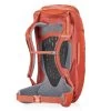 Gregory Tetrad 75 - Men's -Peak Camping gmp tetrad75 ferrousorange back34 rsz 53733.1626822973