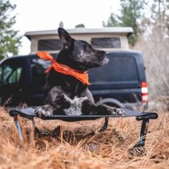 Helinox Elevated Dog Cot - Medium (Fall 2022) -Peak Camping helinox vanlife dog cot 600x 800x 9a70c463 4f67 4a19 b51f 4d3433991b27 800x800 rsz 32155.1646680882