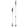 MSR DynaLock Trail Poles -Peak Camping msr poles trail prtn 32452.1626822580