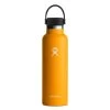 Hydro Flask 21 Oz. Standard Mouth (Fall 2022) -Peak Camping s21sx starfish 05387.1673473791.1280.1280 48483.1673473898