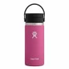 Hydro Flask 16 Oz. Wide Mouth W/ Flex Sip Lid (Fall 2021) -Peak Camping w16bcx carnation rsz 1 98392.1644954432.1280.1280 42764.1673475927